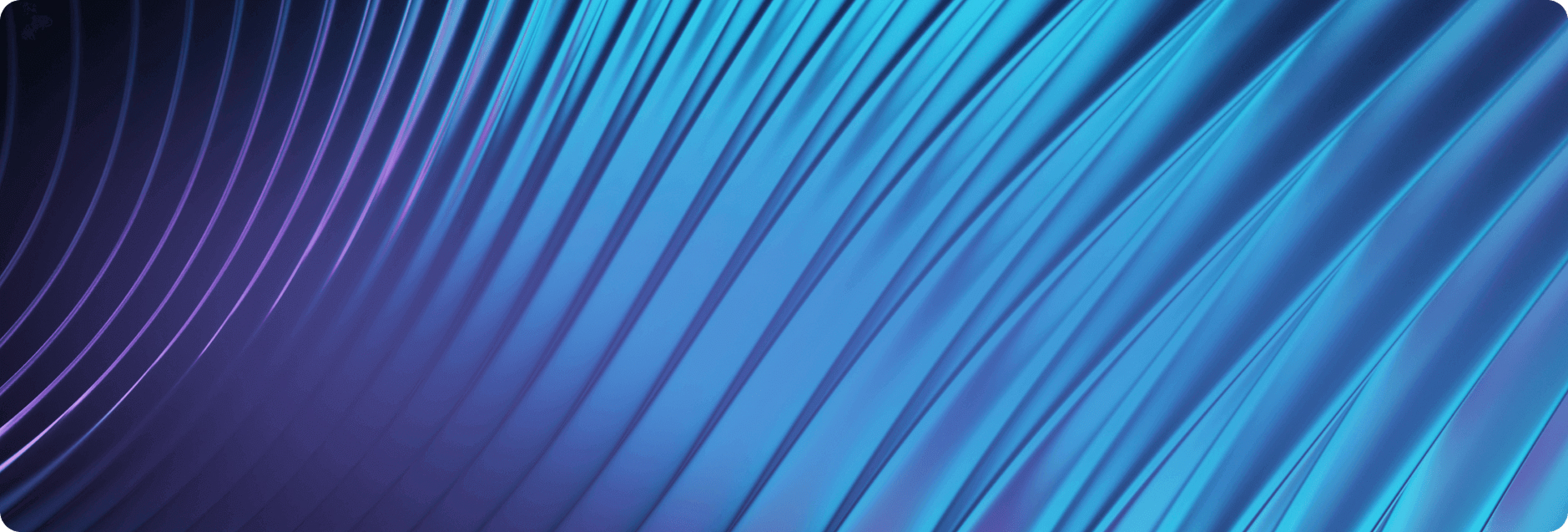 LDVWEB - Professional Web Development Team